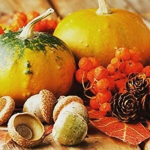 Profile Picture of Danielle Hendriks (@DanielleLaura_H) on Twitter