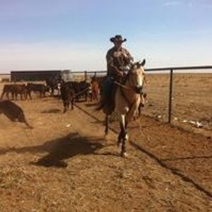 Profile Picture of Robert Cox (@rowdycox98) on Myspace