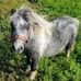 Profile Picture of Patrick Cronin (@patrick.cronin.370) on Facebook