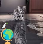 Profile Picture of Denis Passetti (@denis.passetti) on Facebook