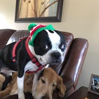 Profile Picture of Jason Gregory (@jason-gregory-38) on Quora