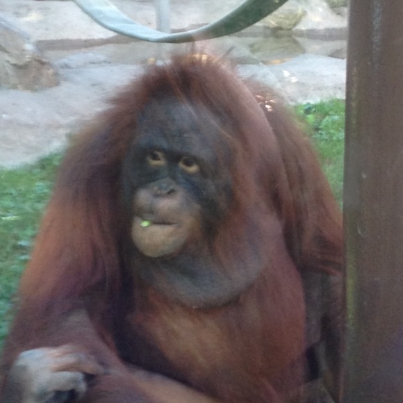 Profile Picture of Kari Swagler (@swagler) on Poshmark