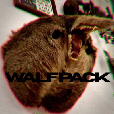 Profile Picture of WalfPack! (@GeorgeLandon13) on Twitter