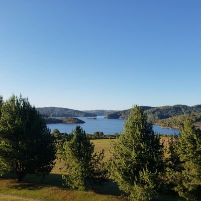 Profile Picture of José Lopera (@Joseloperayepes) on Twitter