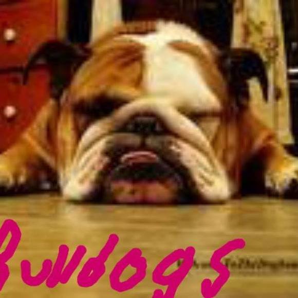 Profile Picture of Susan Ganzert (@mganzert) on Poshmark