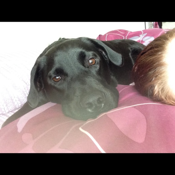 Profile Picture of Leann Gromley (@nepsha22) on Poshmark