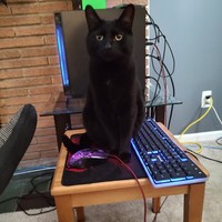 Profile Picture of David Vader  (@david-vader-10) on Quora