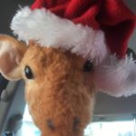 Profile Picture of Jeffery (@jeffery_wild2020) on Instagram