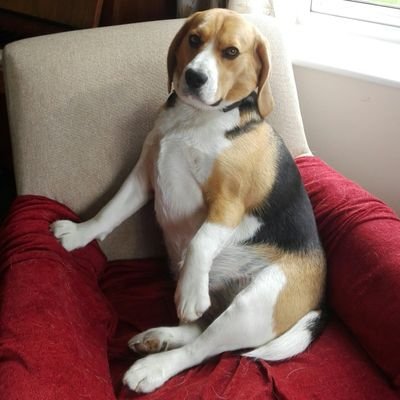 Profile Picture of Matthew Ludlow (@lISPECTREIl) on Twitter