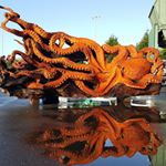 Profile Picture of Meg (@krakenlover) on Instagram