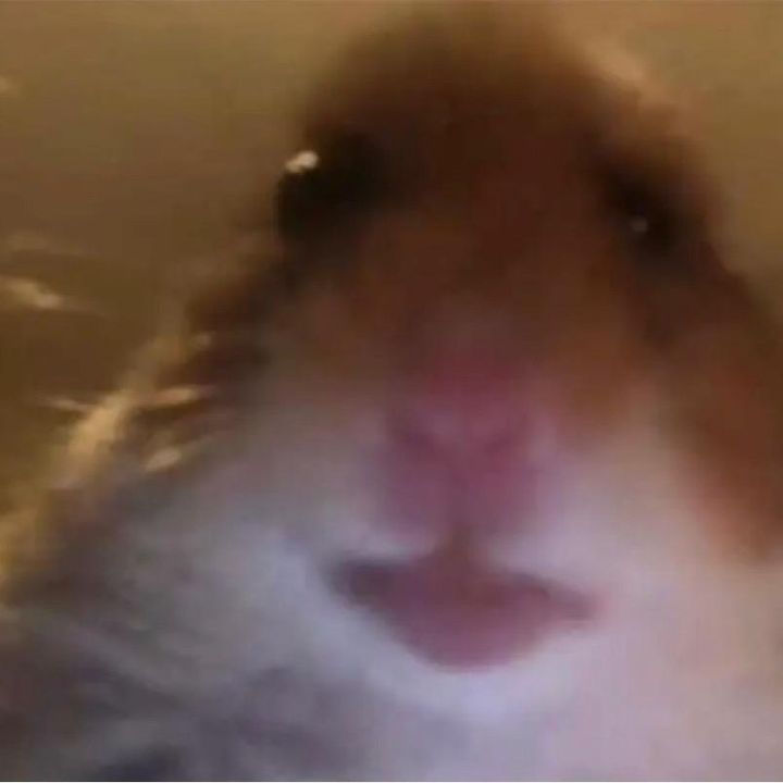 Profile Picture of user4348570694345 (@james_ponzio) on Tiktok