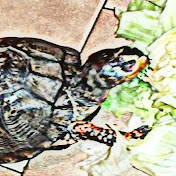 Profile Picture of Jeremy Roman (@jeremyroman9710) on Youtube