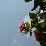 Profile Picture of wu dan (@Tann_Go) on Flickr