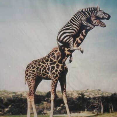 Profile Picture of Matt Haught (@Hoticus) on Twitter