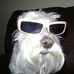 Profile Picture of Greg Goodman (@greg.goodman.509) on Facebook