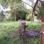 Profile Picture of Andri Apul (@andri.apul.2025) on Facebook