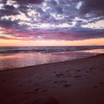 Profile Picture of Lisa Tibbles (@tibbleslisa) on Instagram