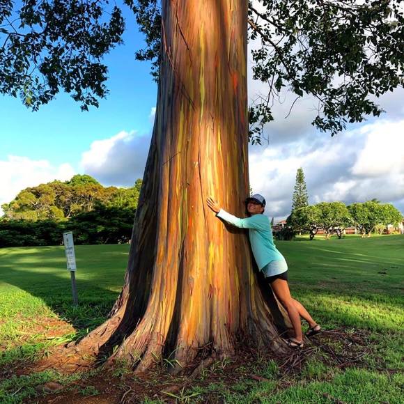 Profile Picture of Jody Wickel (@jwickel) on Poshmark