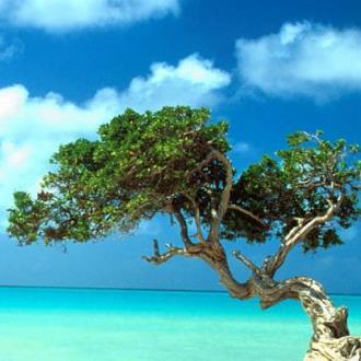 Profile Picture of Terri Cooke (@cookiegirl_21) on Twitter