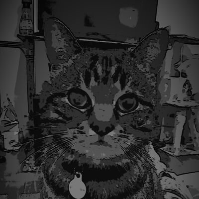 Profile Picture of Tamara & Max (@TamaraandMax) on Twitter