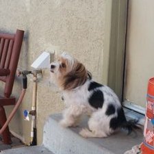 Profile Picture of Janet Mota (@JanetMota4) on Twitter