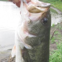 Profile Picture of Alexander Marino  (@alexander-marino-11) on Quora