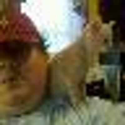 Profile Picture of Peter Zackowski (@pzackowski) on Twitter