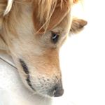 Profile Picture of Edwin Restrepo (@eltiorestrepo) on Instagram