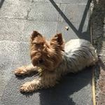 Profile Picture of Marisabel Lopez (@marisitalopez1951) on Instagram