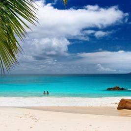 Profile Picture of Lisa Wheeler (@lisawheeler446) on Twitter