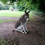 Profile Picture of Gregory Abbott (@wrongturn67) on Instagram