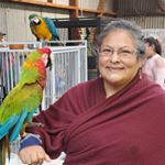 Profile Picture of jeff Carrillo (@jcarrilloplumbinganddrains) on Instagram