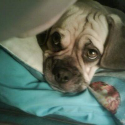 Michael J. Yatteau - Twitter Profile Picture of Michael J. Yatteau (@Yatteau) on Twitter