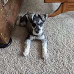 Profile Picture of LuAnn Mays (@luann.mays.5) on Facebook