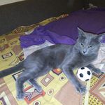 Profile Picture of Андрей Гронский (@gronskiy22) on Instagram