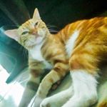 Profile Picture of Marc durant (@eliedurant4) on Instagram