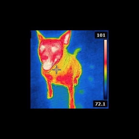 Profile Picture of Stuart Gillingham (@stuart_g) on Poshmark