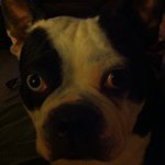 Profile Picture of Jeff Linnell (@23daheffrey23) on Instagram