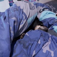 Profile Picture of lynmc (@lynettemcmahon30) on Tiktok