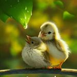 Profile Picture of Lakshmi Jayaram (@lakshmi.jayaram.14) on Instagram