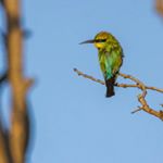 Profile Picture of Pieter Koopman (@opa2115) on Instagram