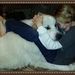 Profile Picture of Braden Frisbie (@bradenfrisbie) on Pinterest
