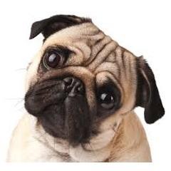 Profile Picture of Chris Abney (@thechrisabney) on Twitter