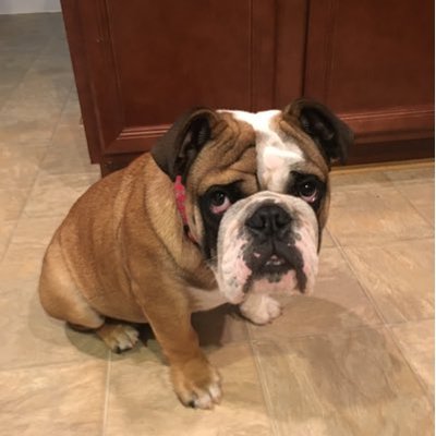 Profile Picture of Kyle Milner (@MilnerMilner8) on Twitter