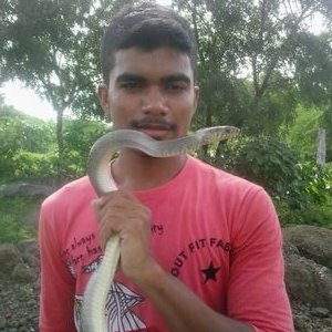 Venki Chindam - Twitter Profile Picture of Venki Chindam (@VenkiChindam) on Twitter