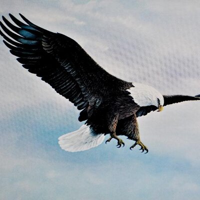 Profile Picture of Ed Craighead (@Smiles4EMC) on Twitter