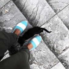 Profile Picture of Visnja Kisic (@v_i_s_n_j_a) on Twitter