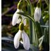 Profile Picture of Eva Solomon (@evasolomon) on Pinterest
