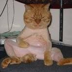 Profile Picture of Merlin Baldwin (@merlin.baldwin.3) on Facebook