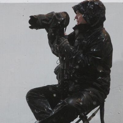 Profile Picture of Terry Marland (@TerryMarland) on Twitter